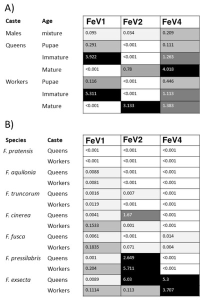 Heat map showing the viral RNA levels of FeV1, FeV2, and FeV4.