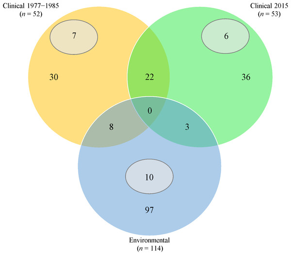  Venn diagram of ERIC-PCR patterns.