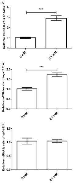 Didymin increased the mRNA expression levels of sod-3 and hsp-16.2, but not that of daf-16 in nematodes exposed to UV irradiation.