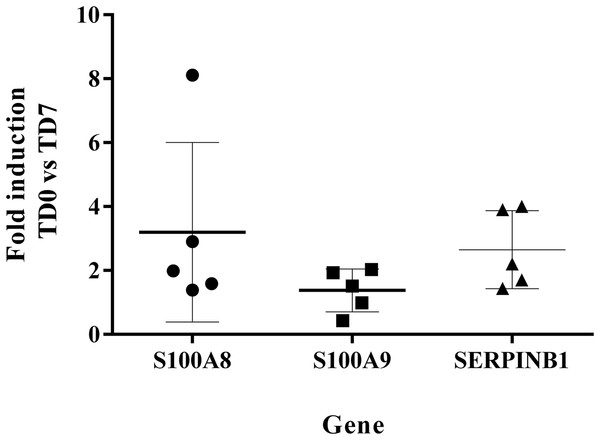 Fold induction of S100A8, S100A9 and SERPINB1 by RT-qPCR.