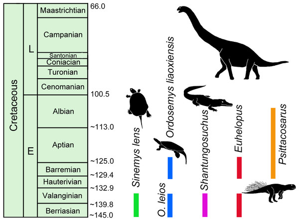 Temporal distribution of Sinemys lens, Ordosemys spp., Shantungosuchus, Euhelopus and Psittacosaurus based on radiometrically dated fossil-bearing deposits.