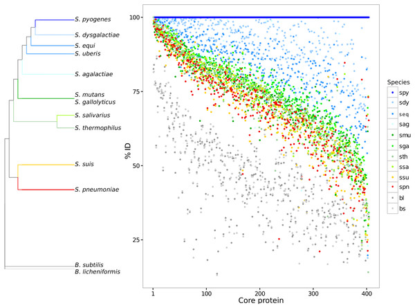 Core genome variability amongst different streptococci clades.