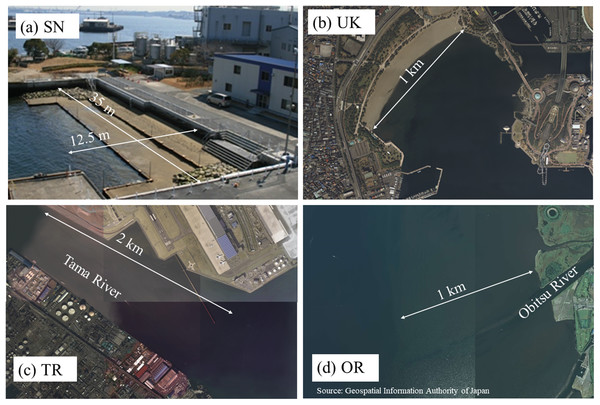 Photos of the four tidal flats: (A) SN, (B) UK, (C) TR, and (D) OR.