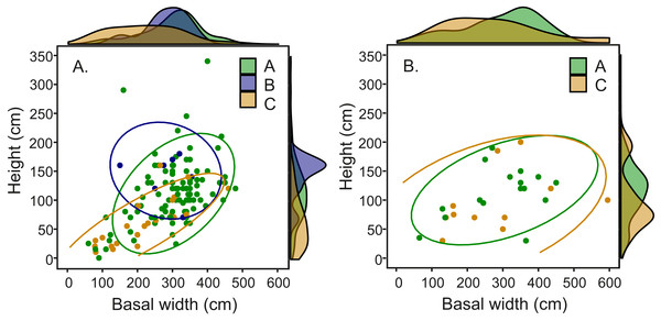 Mound dimensions (height and basal mean width) and fungal identity in (A) open M. subhyalinus and (B) closed M. michaelseni mounds.