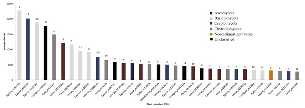 Abundance (Number of reads) of top 32 fungal OTUs.