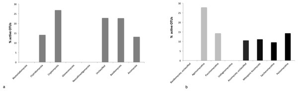 % of active fungal OTUs (i.e., DNA OTUs found in the RNA dataset) (A), % of active Basidiomycota (grey) and Ascomycota (black) OTUs (B).