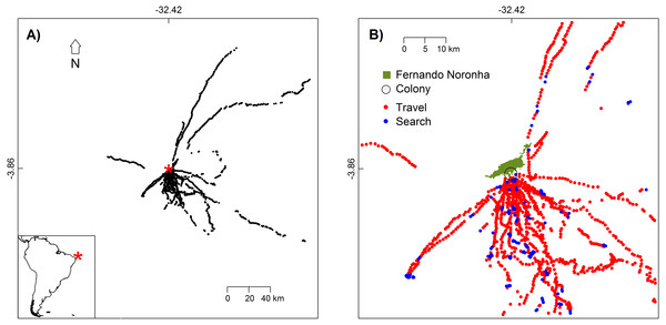 White-tailed Tropicbirds behaviour at sea classified from First-Passage Time analysis.