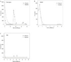 Intraspecific divergences and phylogeography of Panzerina lanata ...