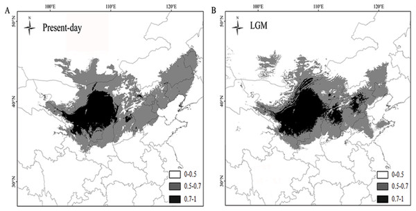 Maps depicting potential distribution of Panzerina lanata in northwest China during present-day  (A) and LGM (B) based on the MIROC model.