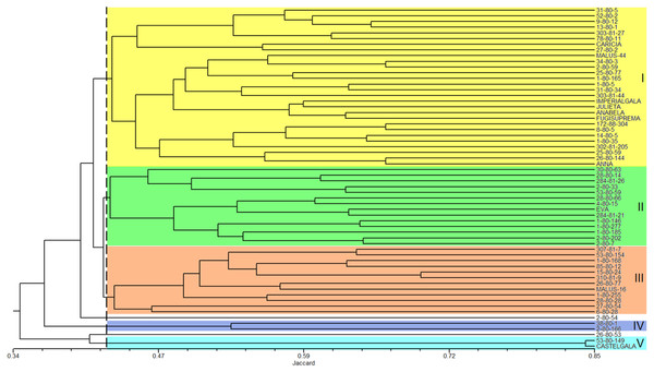 Dendrogram of the 60 apple genotypes from the IAPAR germplasm collection obtained with data from nine ISSR primers.