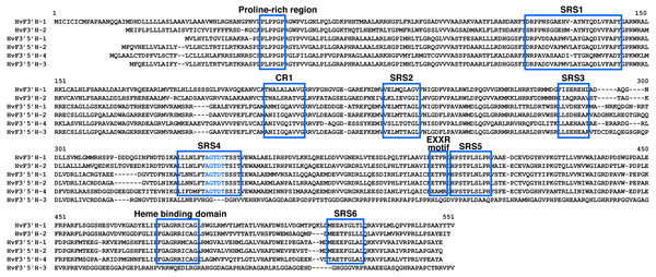 The conserved domains of the F3′H and F3′5′H protein sequences in barley.