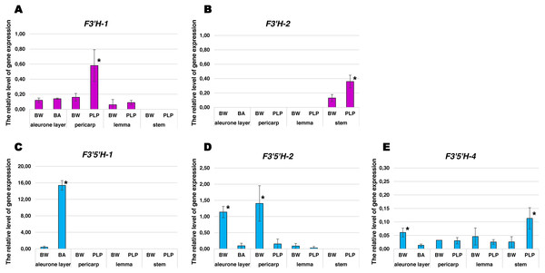 Expression of F3′H and F3′5′H genes in barley cv Bowman and Bowman NILs contrasting for anthocyanin pigmentation. (A) F3′H-1. (B) F3′H-2. (C) F3′5′H-1. (D) F3′5′H-2. (E) F3′5′H-4.
