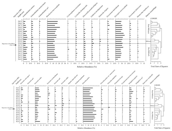 Relative abundance profiles of diatom taxa from Pocket Lake.