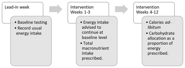 Flow of participants with dietary allocations during the study period.