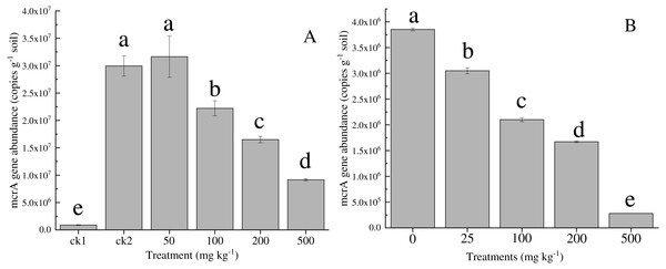 Abundance of mcrA gene in the soil with different amounts of Ni (A) and Co (B) added. Error bars indicate the standard deviation ( n = 3).