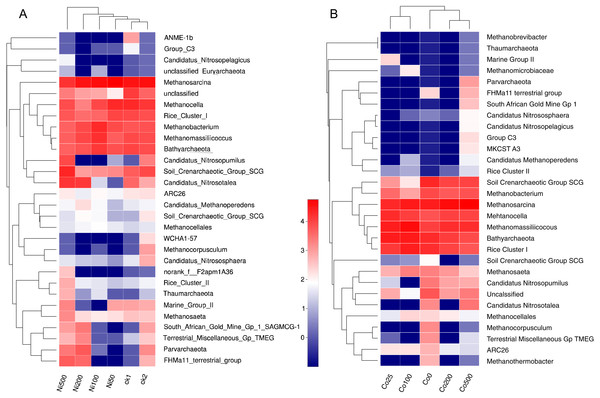 Heatmap analysis of the distribution of dominant phylotypes in soils with different amounts of Ni (A) and Co (B) added. Only the first thirty archaeal genera were considered.