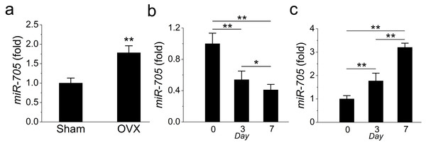 miR-705 is enhanced in MSCs from osteoporosis bone marrow.