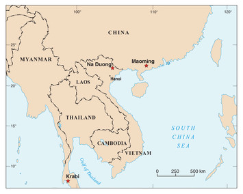 A new testudinoid turtle from the middle to late Eocene of Vietnam [PeerJ]