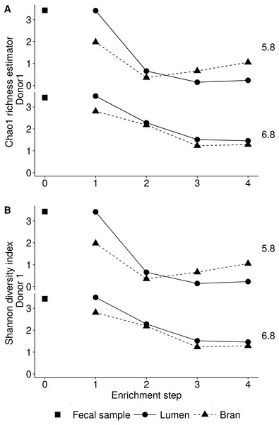 Reduction in the microbial community richness (A, Chao 1 richness estimator) and diversity (B, Shannon diversity index) during consecutive enrichment steps with wheat bran as the sole nutrient source, as shown for donor 1.