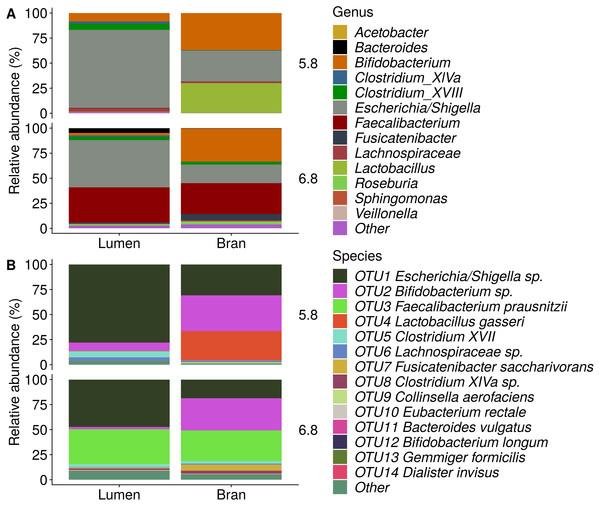 Genus (A) and species (B) level microbial community composition of donor 4 after the final enrichment step with wheat bran as the sole nutrient source.
