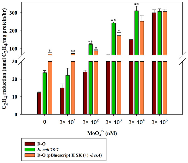 Effect of the molybdate concentration on nitrogenase activity of the recombinant E. coli 78-7, the hesA deletion strain (D-O) and the complemented strain D-O (pBluescript II SK (+)- hesA).