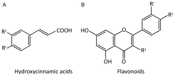 Chemical structure of the phenolic compounds evaluated in the samples of fool’s watercress, celery and parsley.