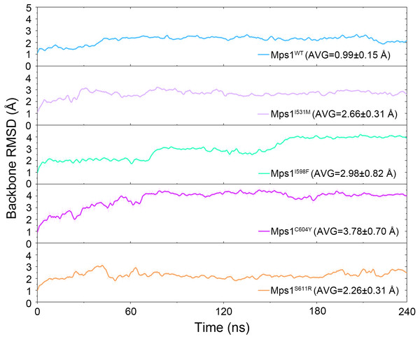Time evolution of the RMSD values of backbone atoms of the Mps1 protein in the five studied systems from conventional MD simulations.