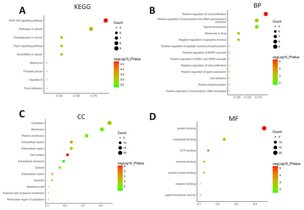 Functional and pathway enrichment analyses of DEGs-formed hub genes.