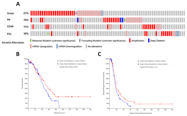 Identification and association of the top four-hub genes with survival of ovarian cancer patients.