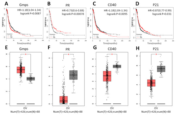 Differential GMPS, PR, CD40, and p21 expression between ovarian cancer and normal tissues and association with recurrence-free survival of ovarian cancer patients.