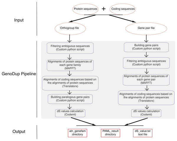 Workflow in GenoDup Pipeline.