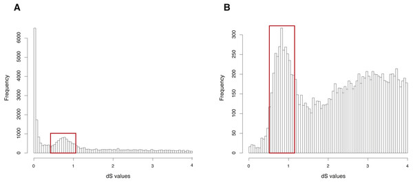 dS distributions of paralogous gene pairs and anchor gene pairs in Arabidopsis thaliana.