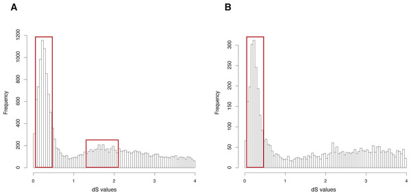 dS distributions of paralogous gene pairs and anchor gene pairs in Oncorhynchus mykiss.