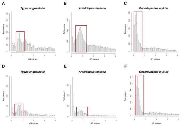dS distributions of three datasets inferred by GenoDup and FASTKs.
