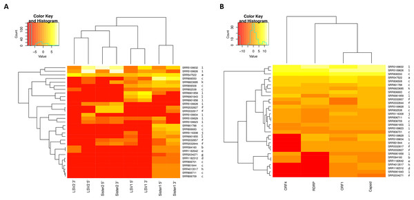 Heat maps of LSV read abundance in SRA accessions.