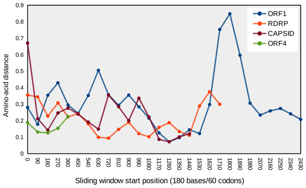Mean pairwise protein divergence among ORF sequences in sliding windows of 60 codons (180 bases), using the JTT distance metric.