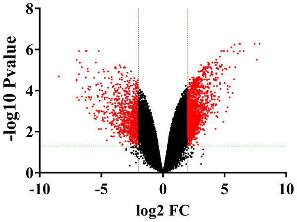 The volcano plot was constructed using fold-change (LogFC) values and adjusted P-values.