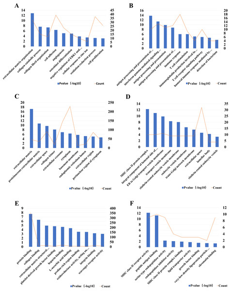 The most 10 significant Gene Ontology (GO) enrichment items and the DEGs count.