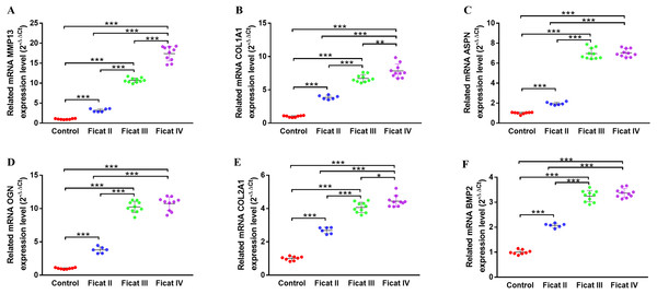 The gene expression levels of chondrogenesis-related genes in cartilage specimens with different Ficat stages.