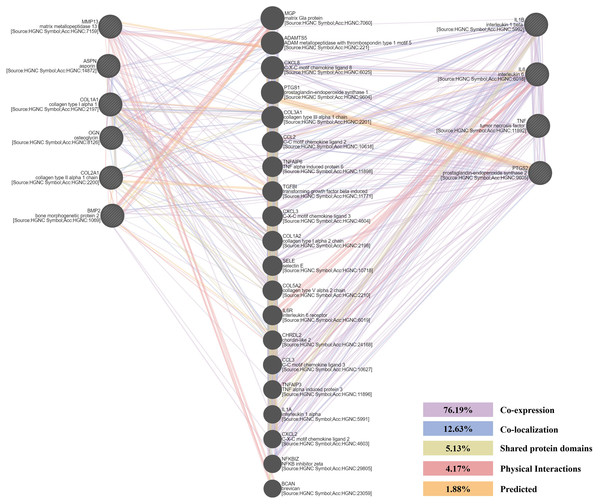 The protein-protein interaction (PPI) network of chondrogenesis-related and arthritis-related genes.