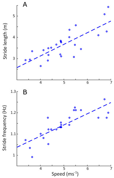 Change in stride length (m) and stride frequency (Hz) as a function of speed (ms−1).