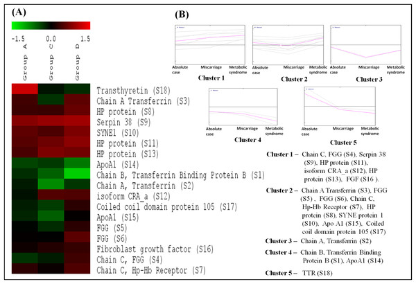 Cluster analysis based on expression patterns of the eighteen differentially expressed proteins.