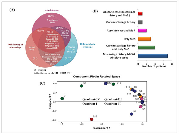 Venn diagram and PCA analysis of differentially expressed proteins.