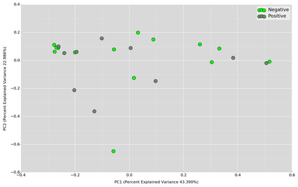 PCoA plot based on weighted UniFrac distance metric comparing overnight OTU abundances between UBT-positive and UBT-negative cohorts.