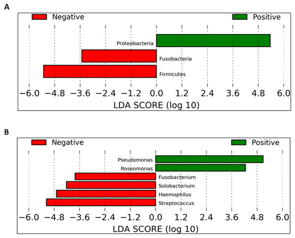 Identification of bacterial phyla and genera with significant differences between the UBT-negative and UBT-positive daytime samples using LEfSe analysis.