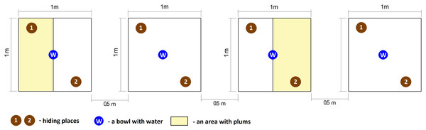 Graphical representation of experimental enclosures.