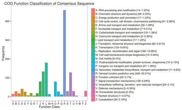 COG function classification of consensus sequence.