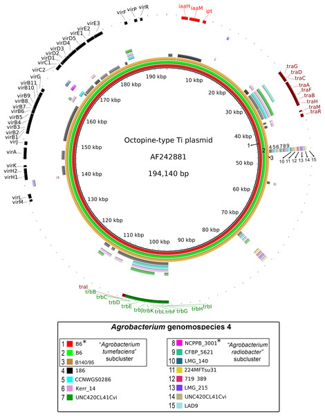 Prevalence and sequence conservation of the octopine-type Ti plasmid among Agrobacterium genomospecies 4.