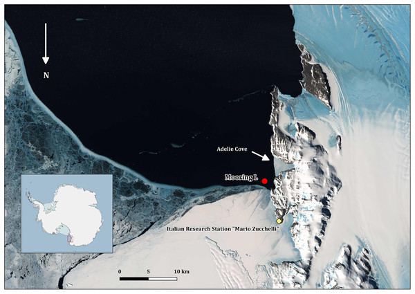 Map of Terra Nova Bay with the position of the mooring “L,” close to the Adélie penguin rookery.
