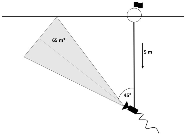 Scheme of the camera set-up.